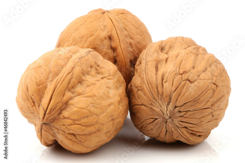 walnut