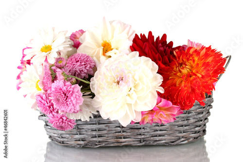 daisies and dahilas in  wicker basket isolated on white photo