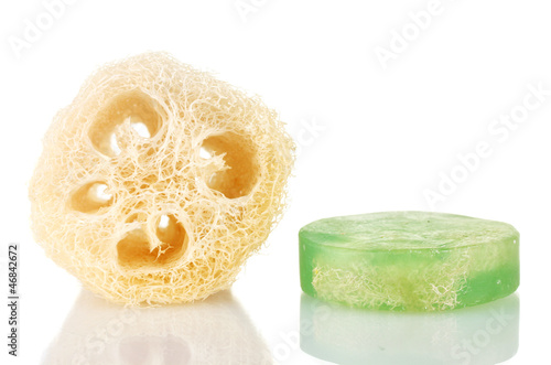 Obraz na płótnie Loofah isolated on white