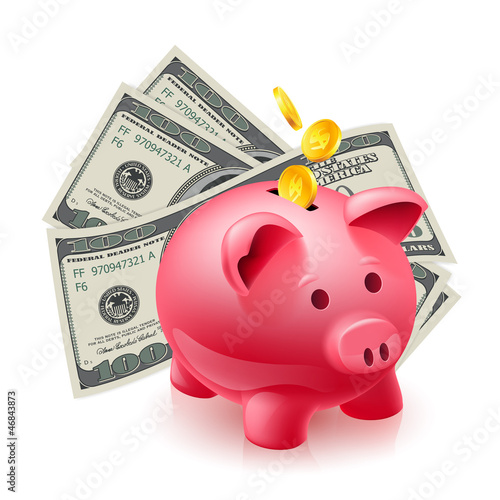 Moneybox - pig and dollars