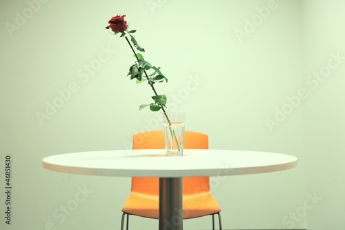 single red rose