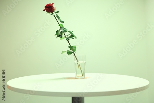single red rose on the table 2