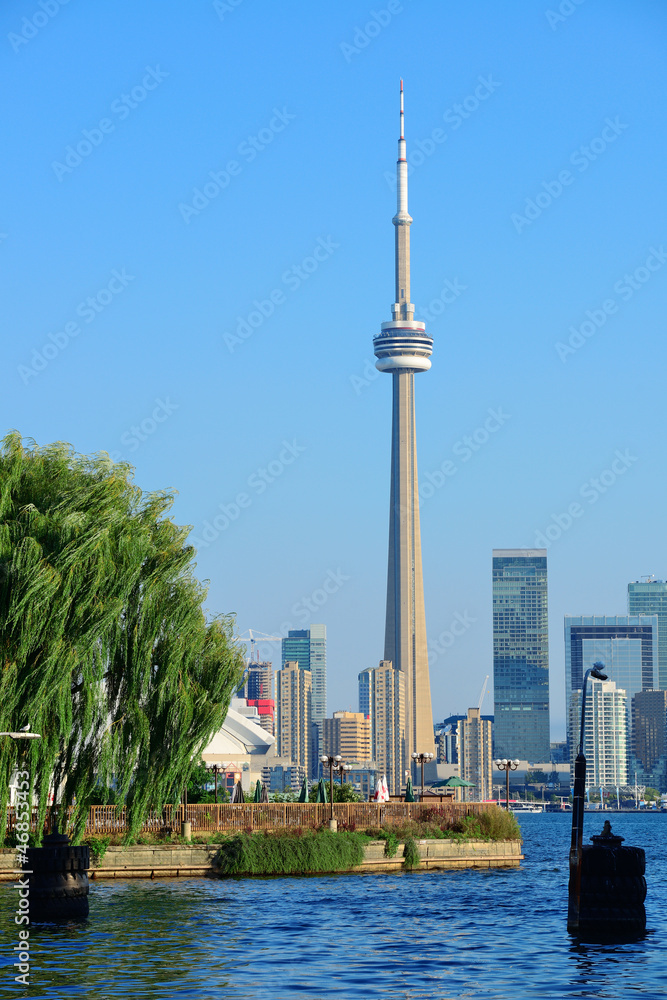 Fototapeta premium Toronto skyline from park