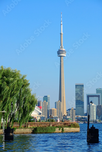 Photography Toronto skyline from park