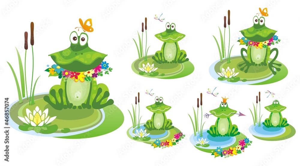 Naklejka premium Frog. Vector illustration.