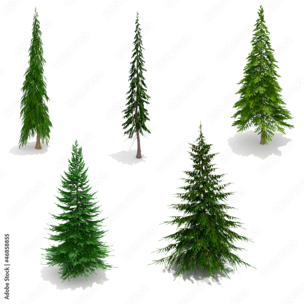 3d trees pack isolated on white with ground shadows