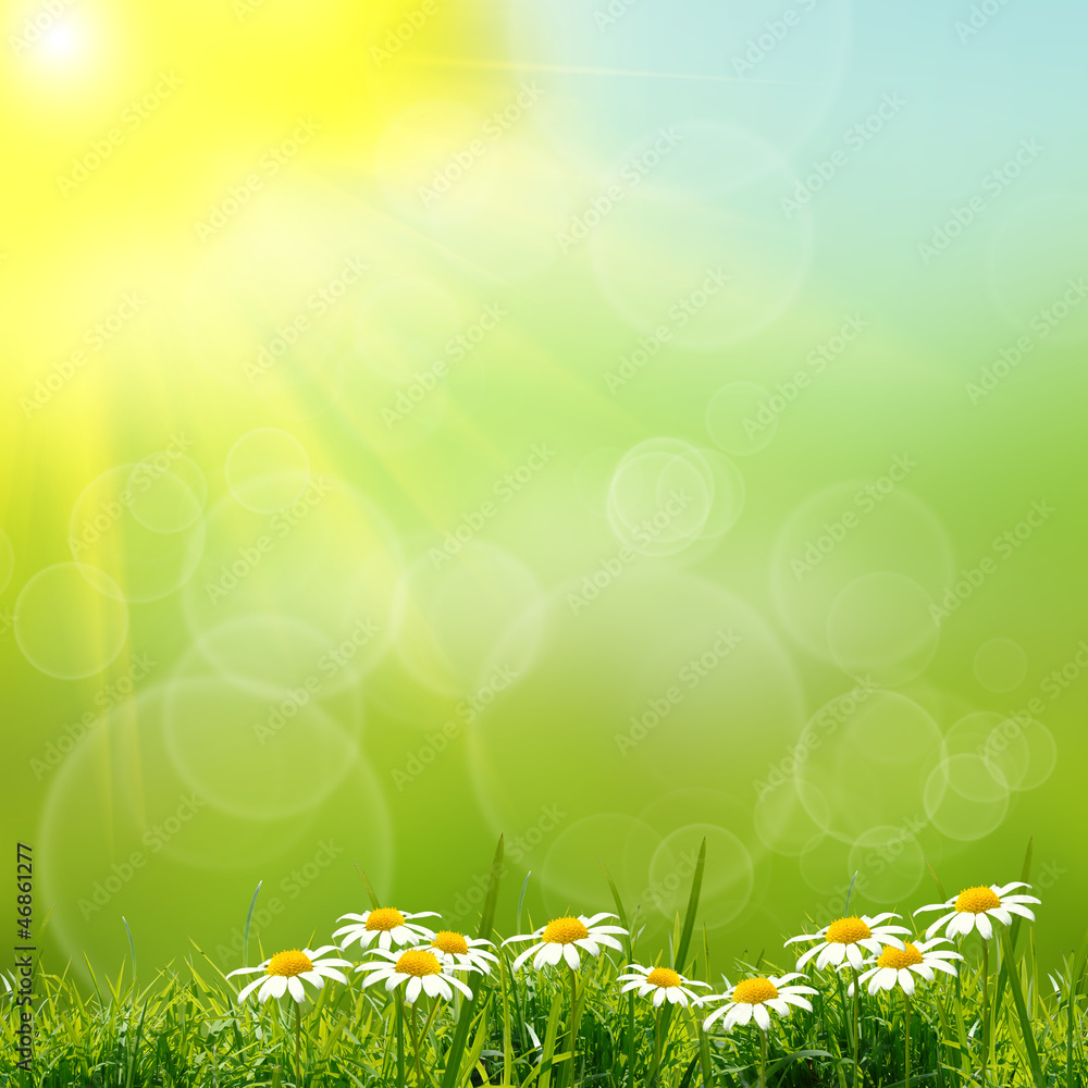 Obraz premium green natute background