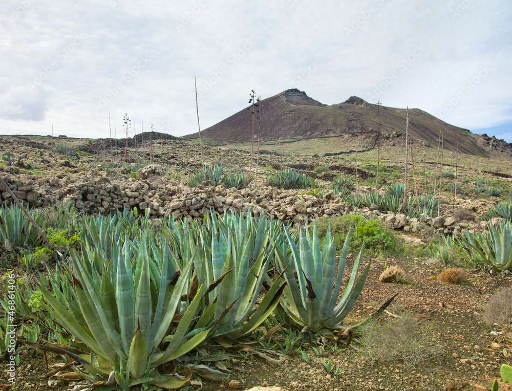 Inland Fuerteventura, Malpais de la Arena Inland Fuerteventura, Malpais de la Arena