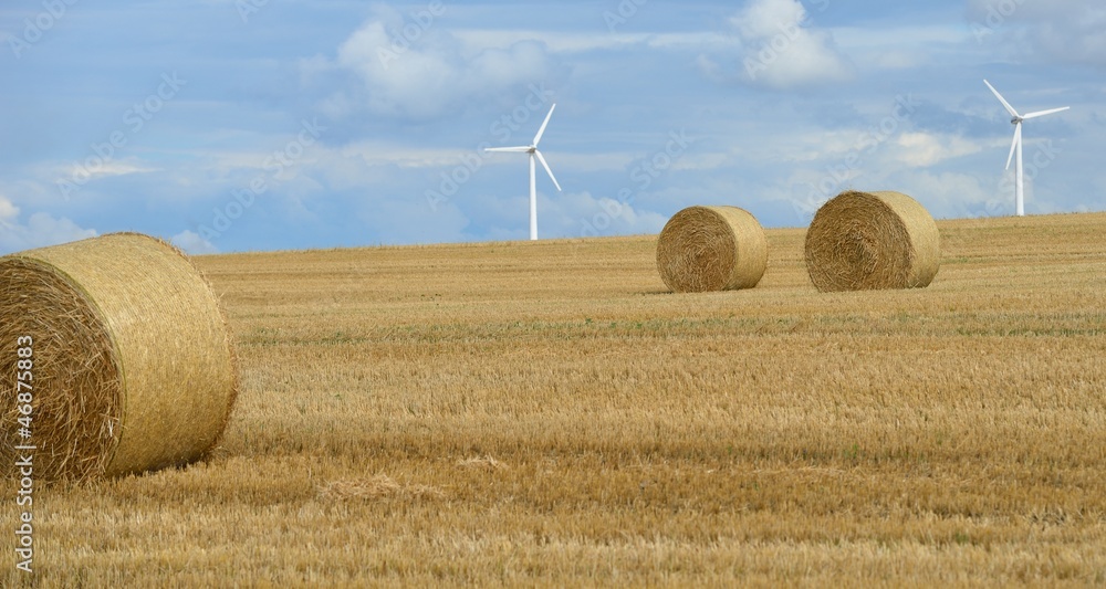 Fototapeta premium straw bales