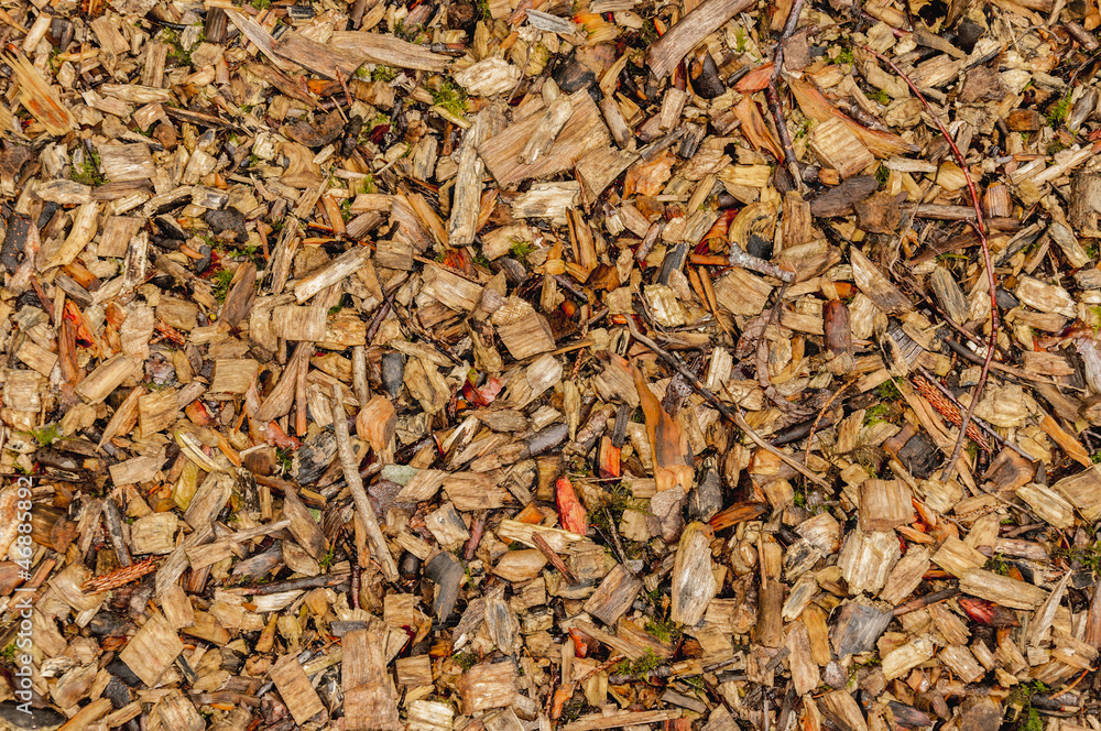 Colorful wood chips