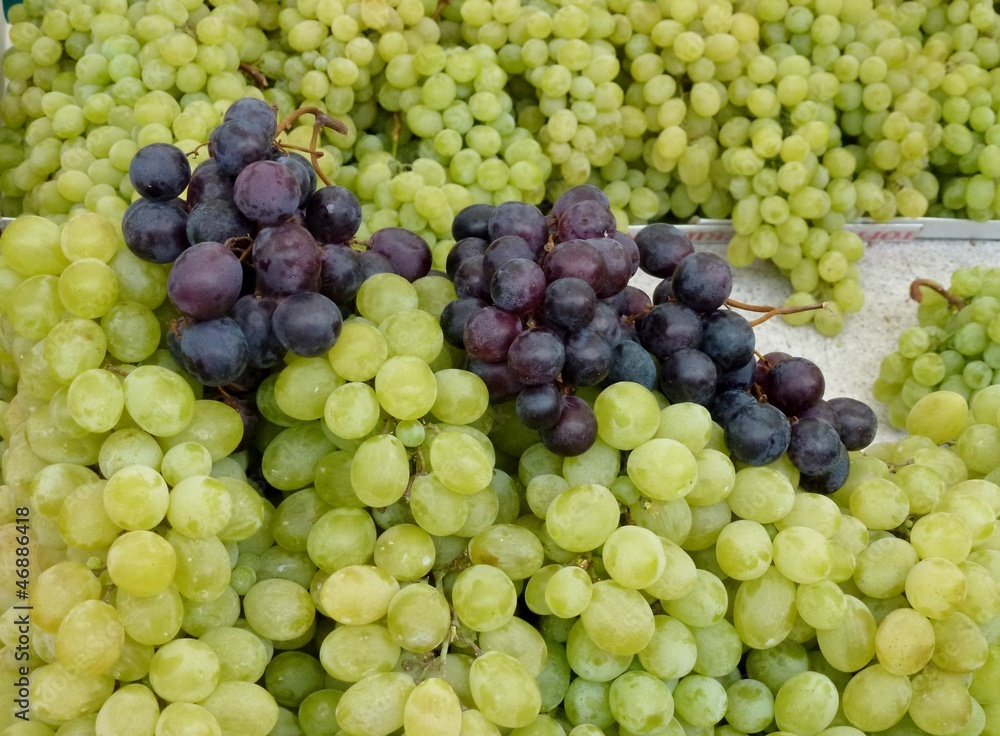 Blue and white grapes in a box at the greengrocer Blue and white grapes in a box at the greengrocer