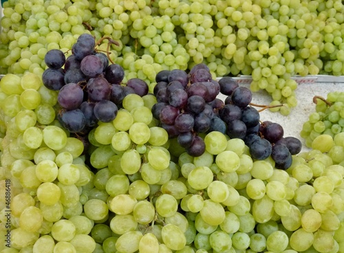 Blue and white grapes in a box at the greengrocer