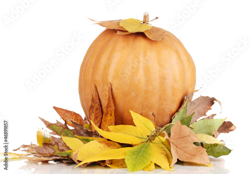 Ripe orange pumpkin yellow autumn leaves isolated on white