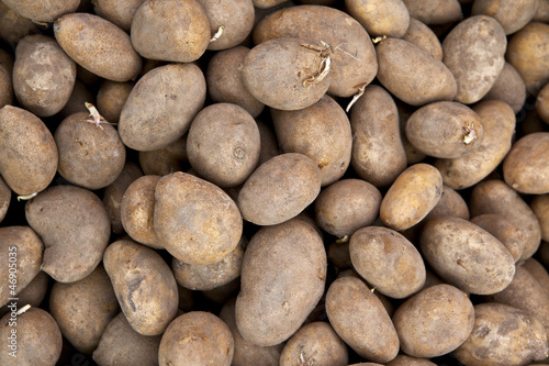 Raw potatoes for sale on marketplace