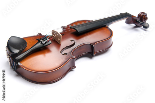 Obraz na plátně violin