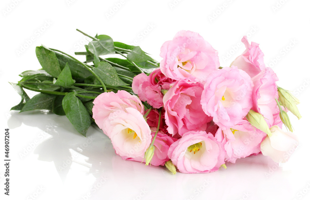 bouquet of eustoma flowers, isolated on white bouquet of eustoma flowers, isolated on white