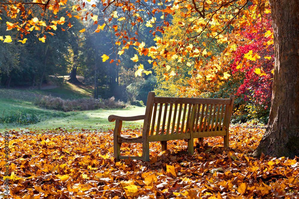 Bench in autumn park.