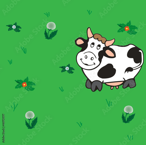 Cow on the meadow