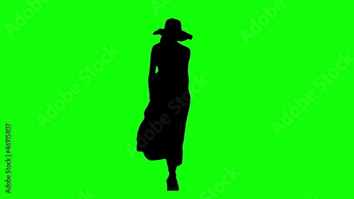 Catwalk Model Silhouette