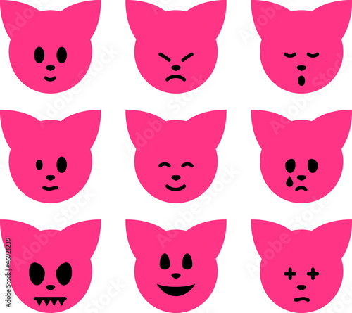 Fototapeta Naklejka Na Ścianę i Meble -  katzengesichter