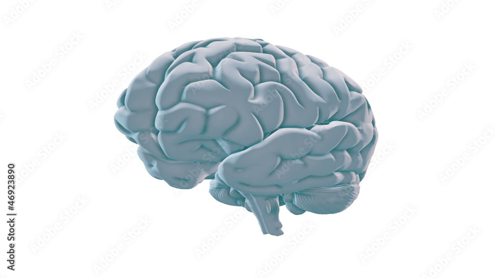 3D looping brain HD 1080 3D looping brain HD 1080