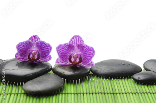 Two pink orchid and zen stones on green mat
