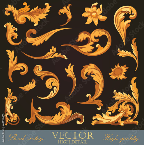 Gold Vintage Elements. Floral ornament. High detail vector © sellingpix