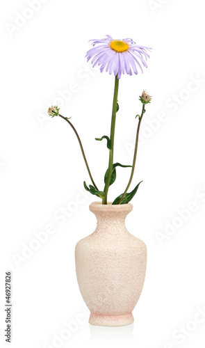 Wallpaper Mural Flower in a vase Torontodigital.ca