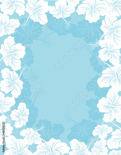 Hibiscus flower frame