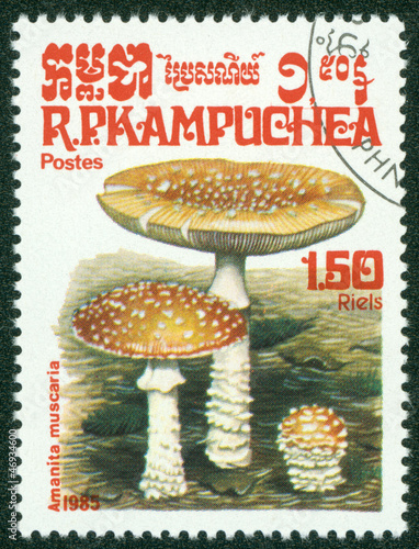 stamp printed in Cambodia shows Mushroom