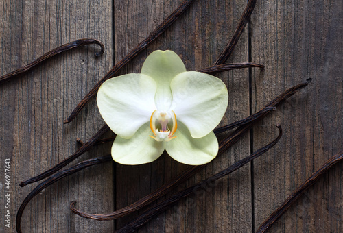 Vanilla sticks and flower on the wood background