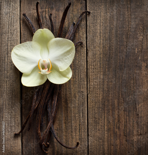 Vanilla sticks and flower on the wood background