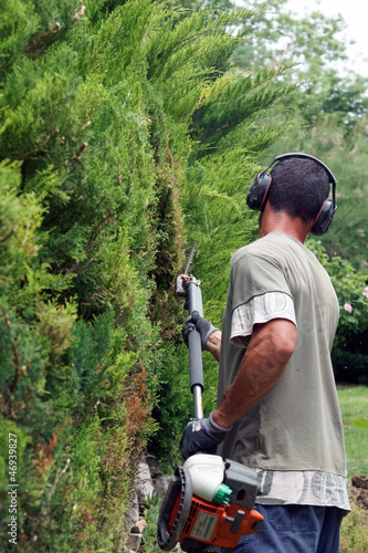 jardinier taillant une haie  # 32