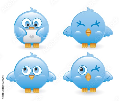 blue birds