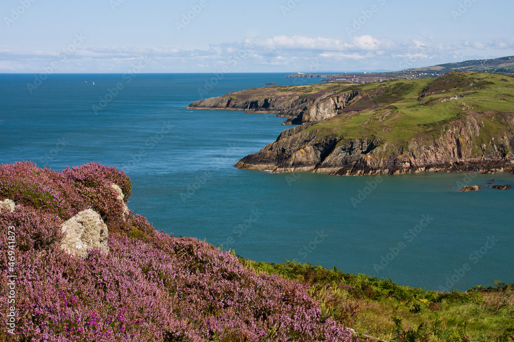 Fototapeta premium Porth Wen