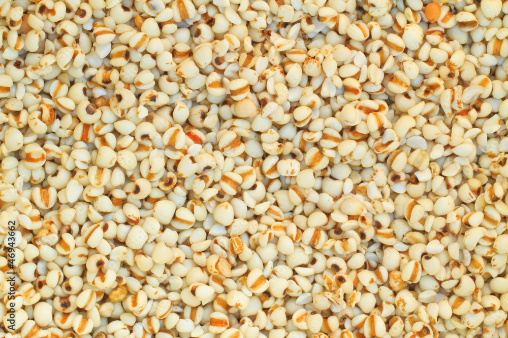Millet Millet