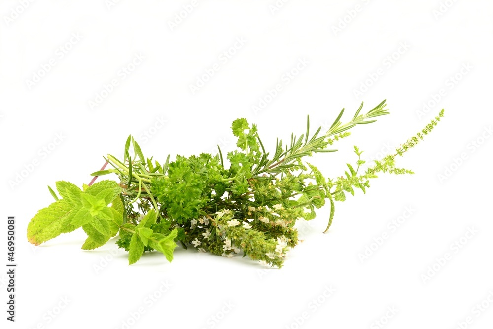 Fototapeta premium Healthy herbs