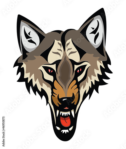 Cartoon angry wolf head isolated on white background