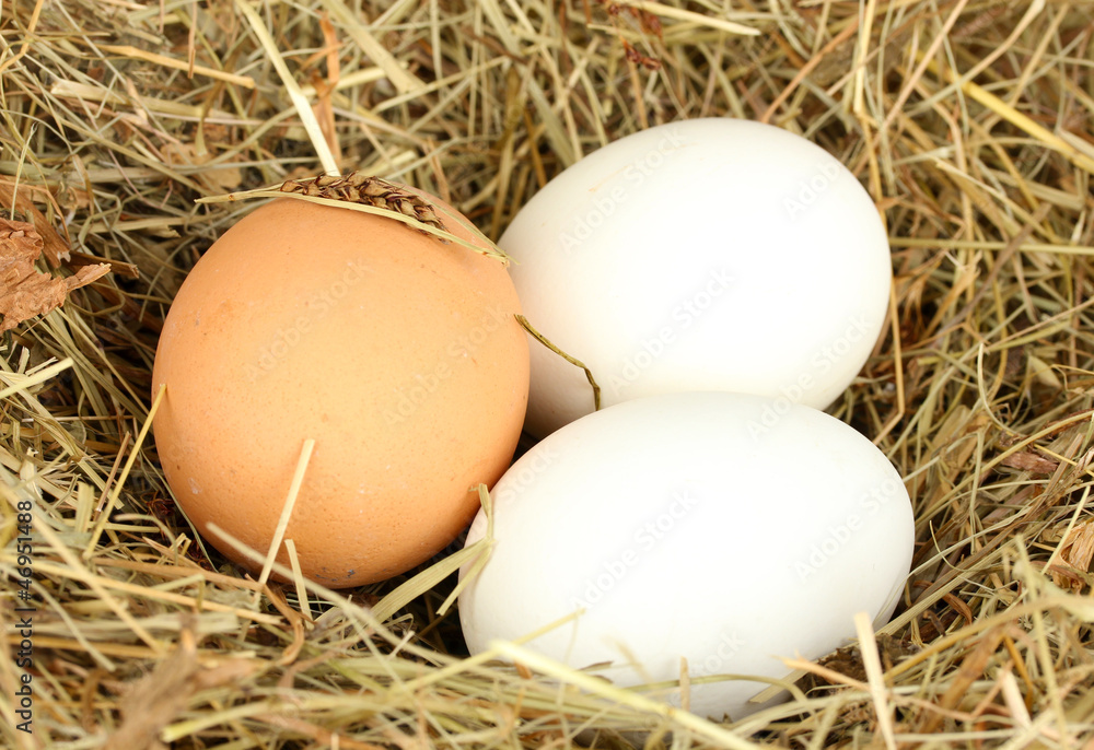 brown and white eggs in a nest of hay close-up