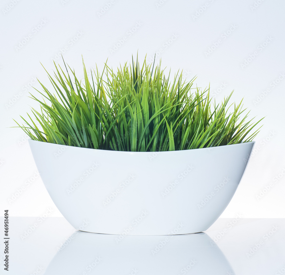 Naklejka premium Grass