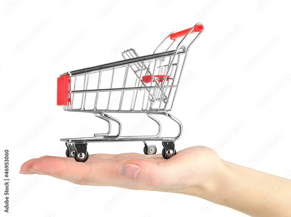 empty shopping trolley on woman hand, isolated on white empty shopping trolley on woman hand, isolated on white