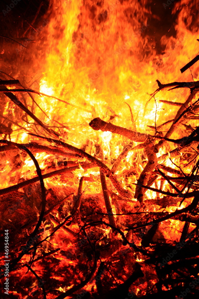 campfire in the forest