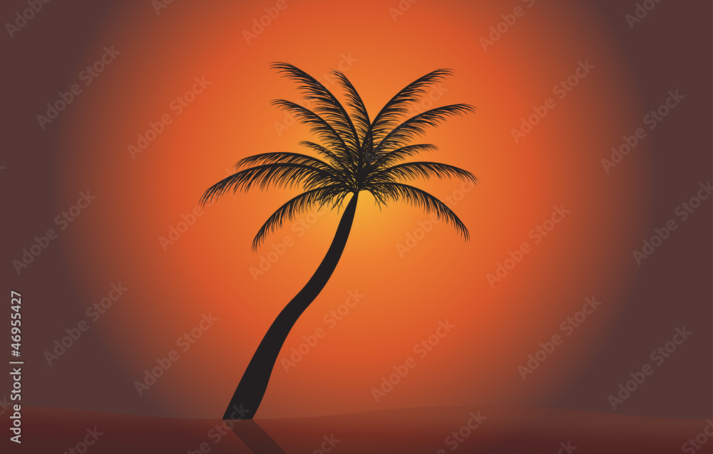 Palm in the sunset. Vector illustration. EPS 10