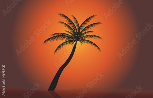 Palm in the sunset. Vector illustration. EPS 10