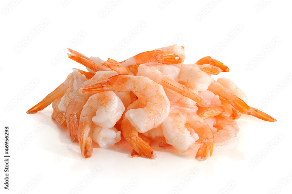 Shrimp Shrimp