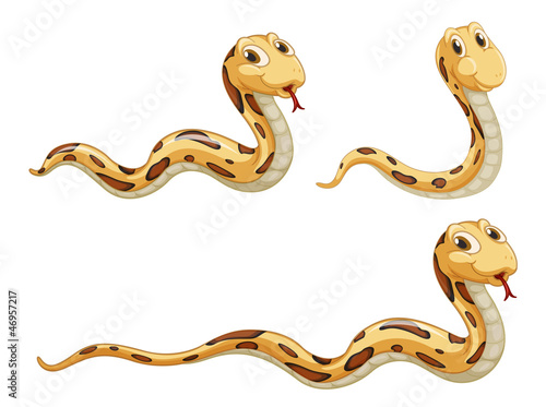 snakes
