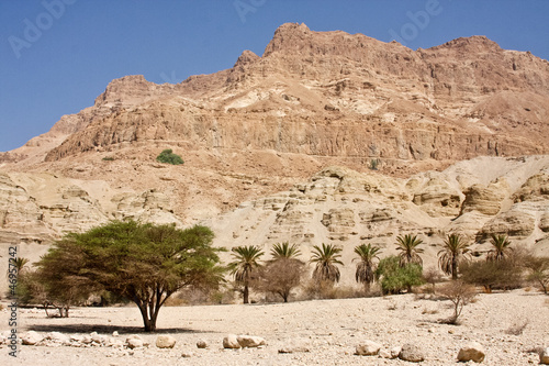 Wallpaper Mural Ein Gedi Nature Reserve Torontodigital.ca