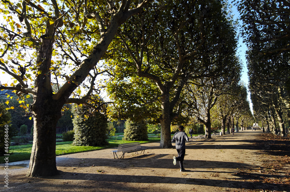 Fototapeta premium jogging au jardin des plantes