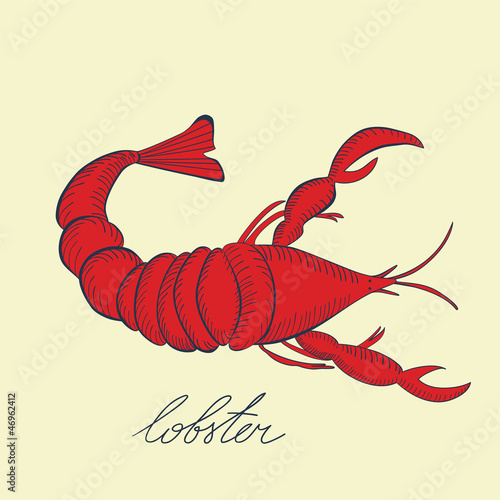 Lobster