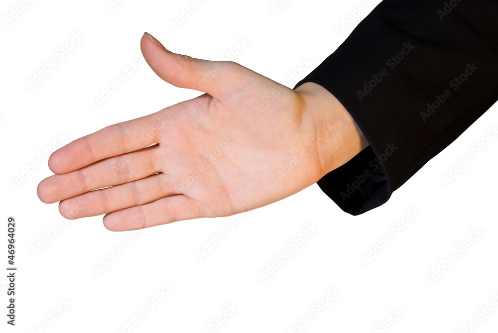 Obraz premium business hand